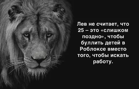 Лев ищет работу в 25