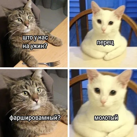 Что у вас на ужин?