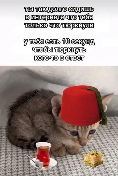Тюркнуть в ответ за 10 секунд