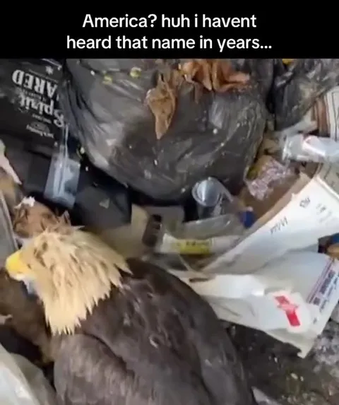 America? Haven't Heard That Name