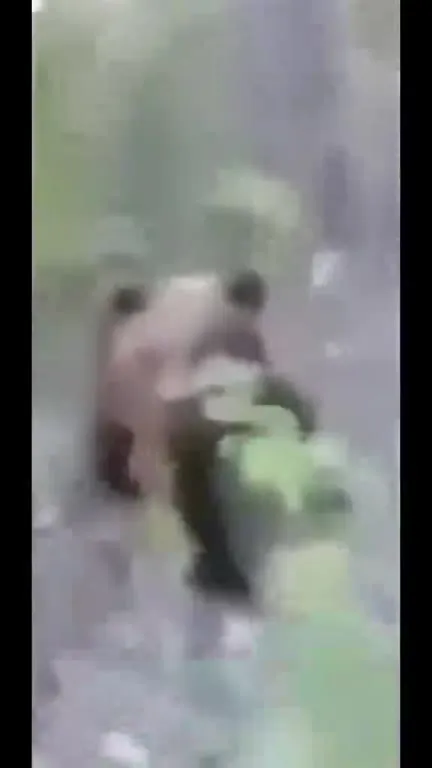 Мутный зверёк идёт под бит
