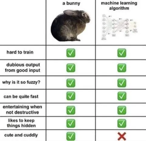 Bunny vs Machine Learning Algorithm