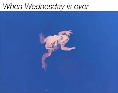When Wednesday Is Over