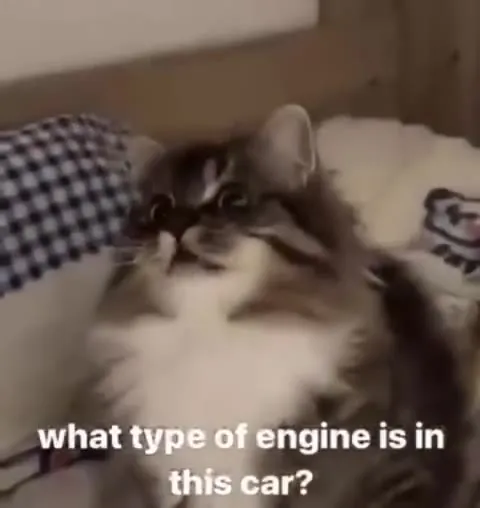 What Type of Engine Is This Cat