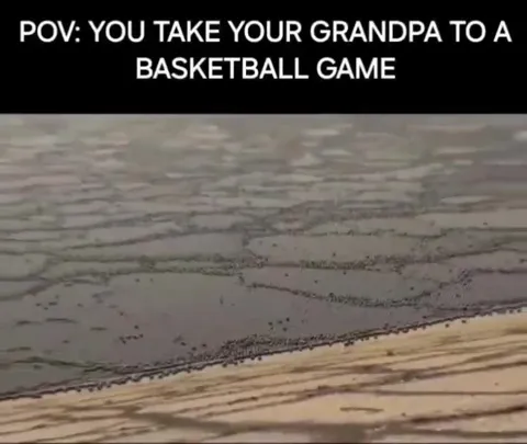 Grandpa at a Basketball Game