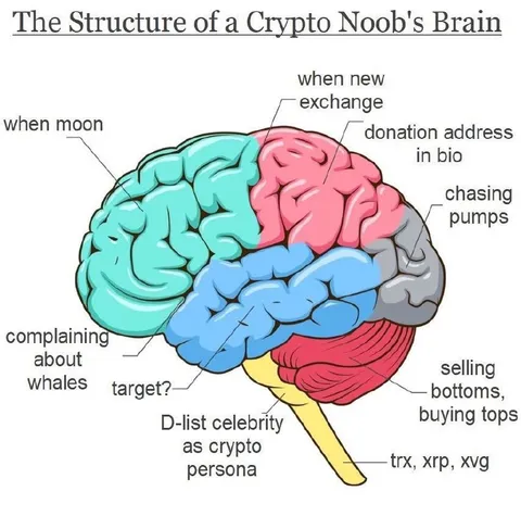 The Structure of a Crypto Noob’s Brain