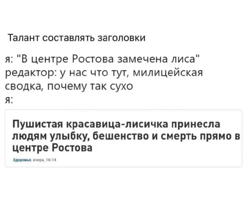 Пушистая лисичка и смерть