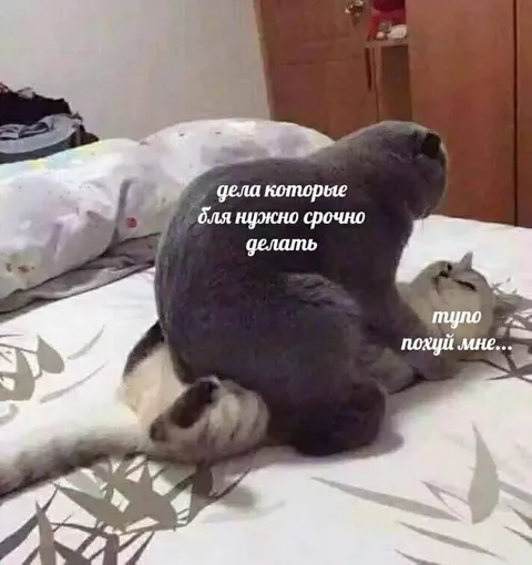 Кот игнорирует срочные дела
