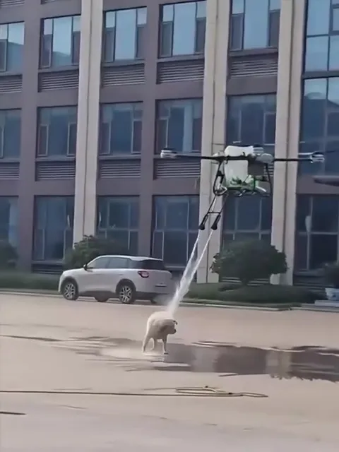 Дрон моет собаку