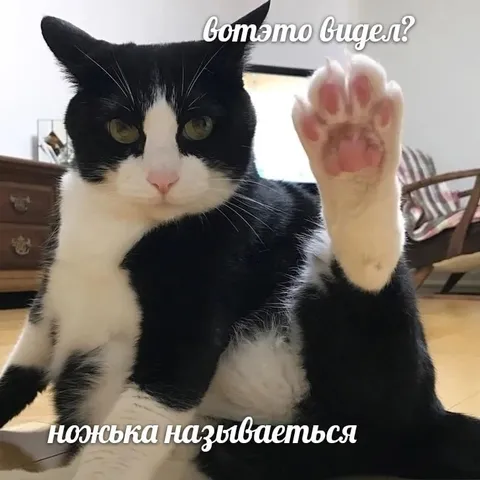 Вот это видел? Ножка называется