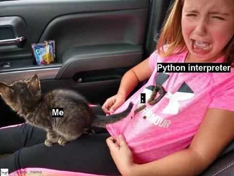 Me Versus Python Interpreter