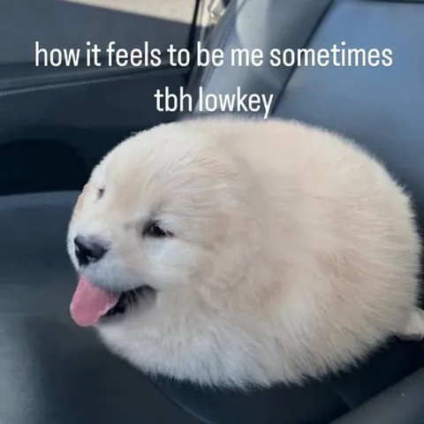 How It Feels to Be Me
