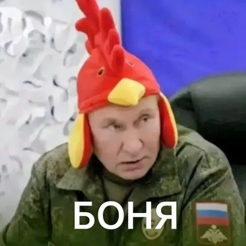 Боня в костюме петуха