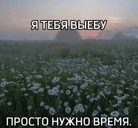 Я тебя выебу, просто нужно время
