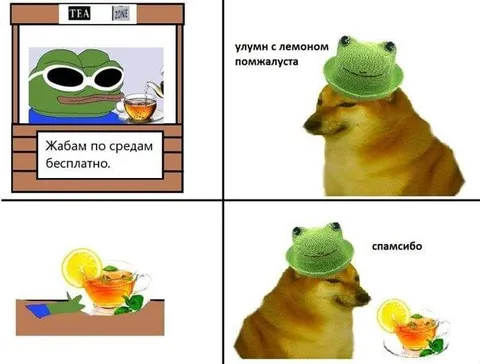 Жабам по средам бесплатно