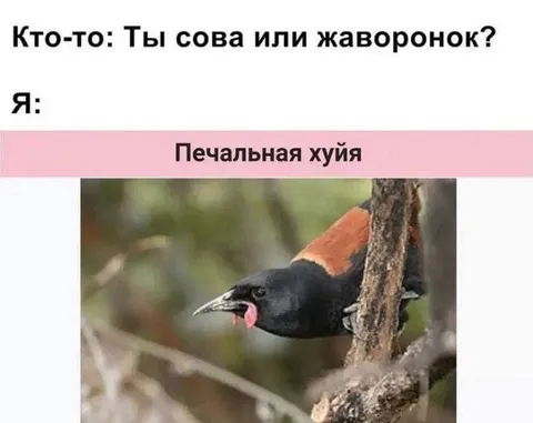 Печальная хуя на дереве
