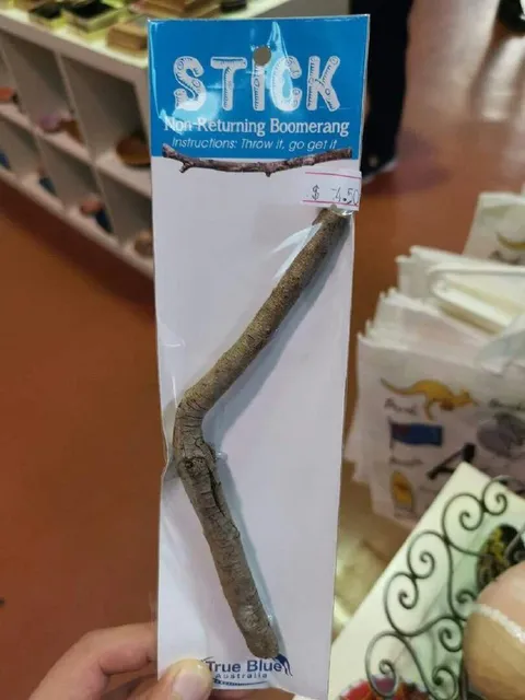 Non-Returning Boomerang Stick