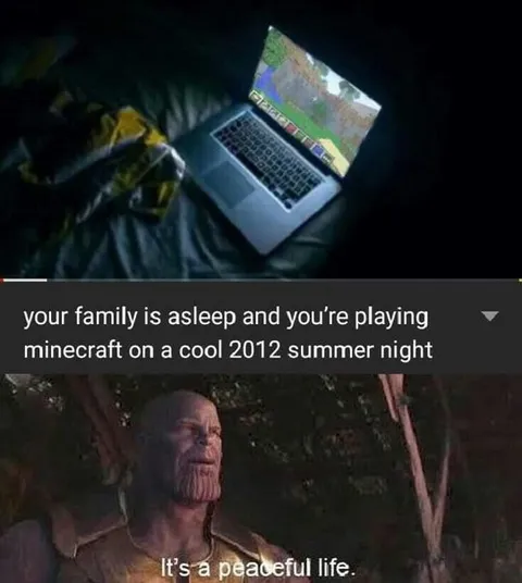 Minecraft on a Peaceful Summer Night