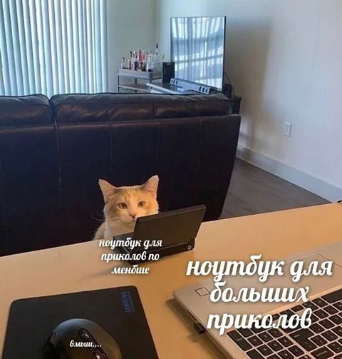 Ноутбук для больших приколов