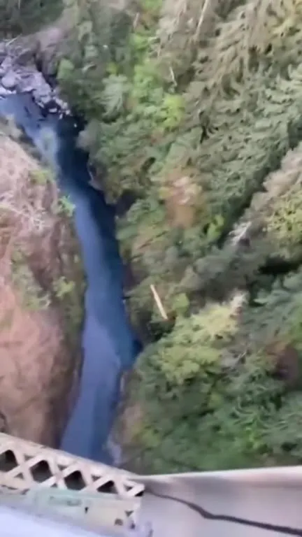 Кот появляется из водопада