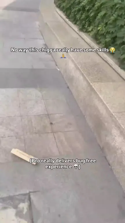 Bug-Free Sidewalk Experience