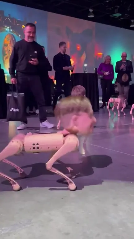 Человек на робособаке