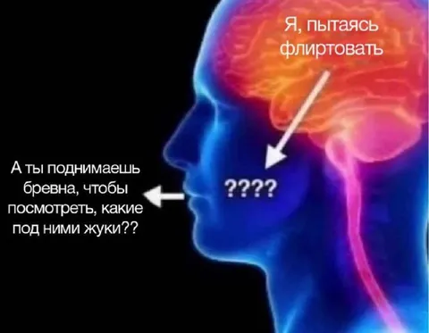 Пытаюсь флиртовать и жуки под бревном