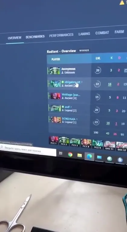 Как выглядит чат после игры