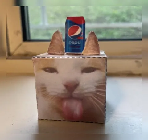 Pepsi Cat Box