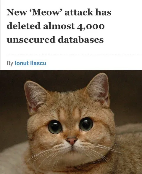 Meow Attack Deletes Databases