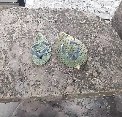 Зелёные сланцы на бетоне