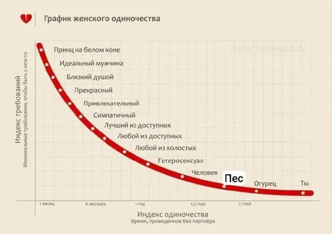 График женского одиночества