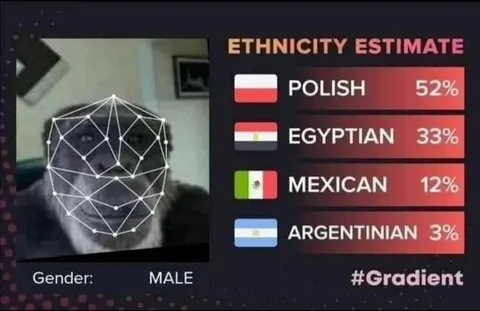 Ethnicity Estimate Meme