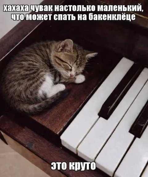 Котёнок спит на пианино