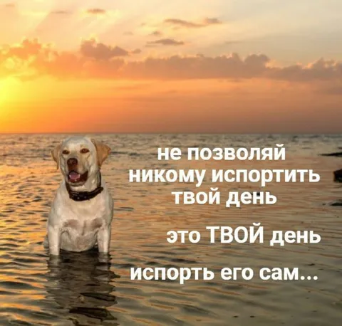 Не позволяй испортить твой день
