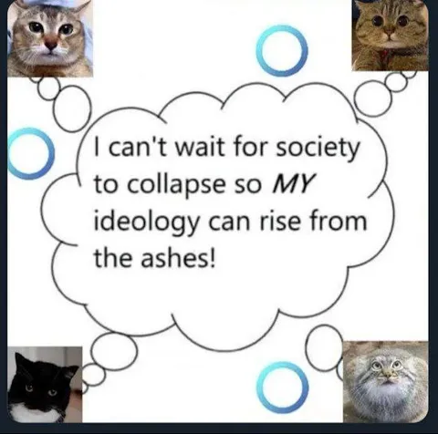 Society Collapse Ideology Cats