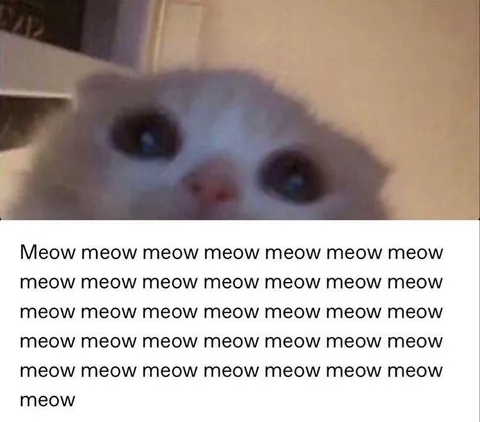 Endless Meowing Cat