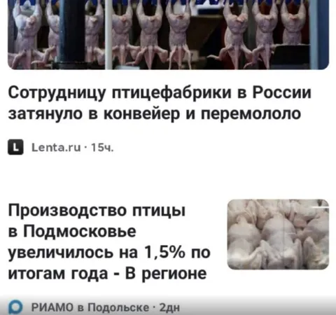 Птицефабрика и рост производства