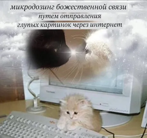 Микродозинг божественной связи через мемы