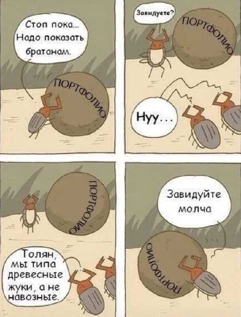 Жуки показывают портфолио
