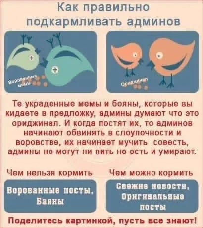 Как правильно подкармливать админов