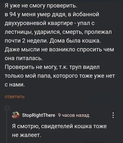 Кошка не оставляет свидетелей