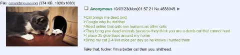 Cat Brings Home Dead Bird