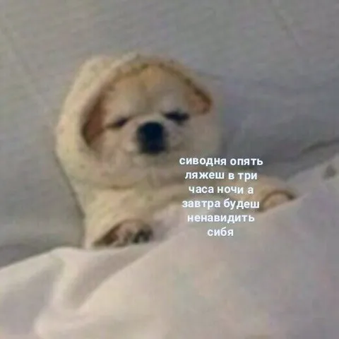 Сиводня опять ляжешь поздно