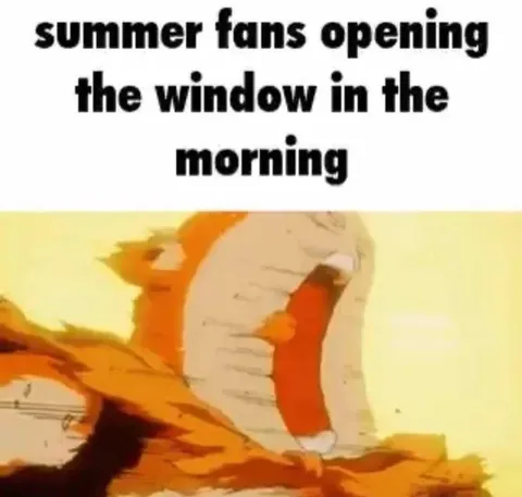 Summer Fans Open the Window