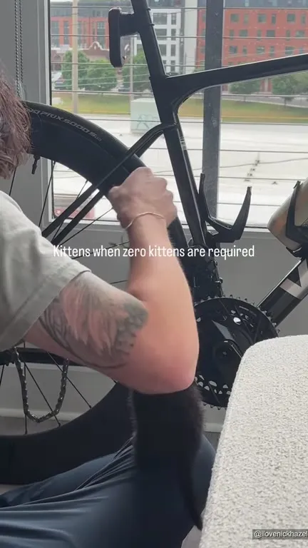 Kitten Repairs a Bicycle