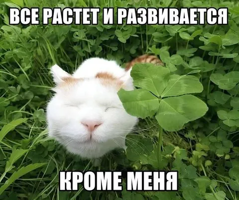 Всё растёт и развивается кроме меня