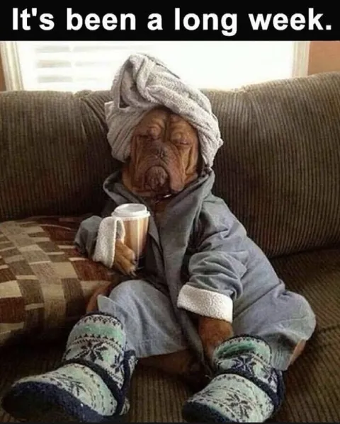 It's Been a Long Week