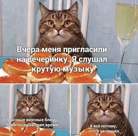 Кот, который не пошёл на вечеринку