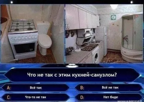 Кухня-санузел и нет биде